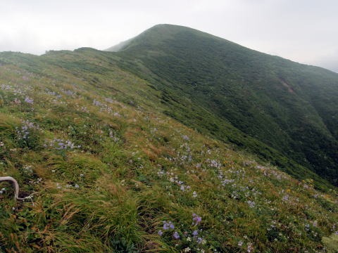 2012.8.11-14　和賀・生保内川（沢登り）