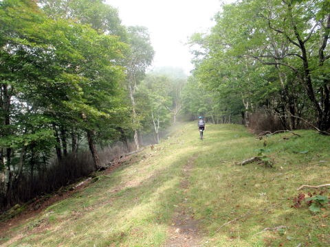 2012.9.22　峰谷川茂窪谷（沢登り）