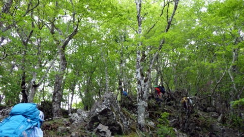 2019.5.26 源次郎沢(沢登り)