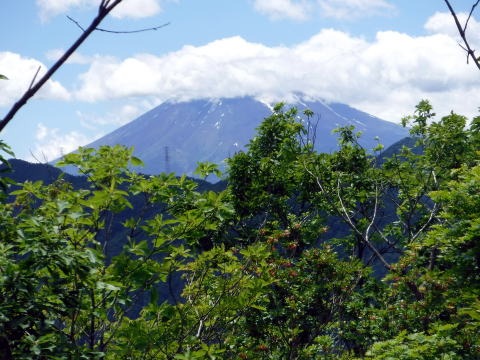2019.6.16　笹子雁ヶ腹山（尾根歩き）