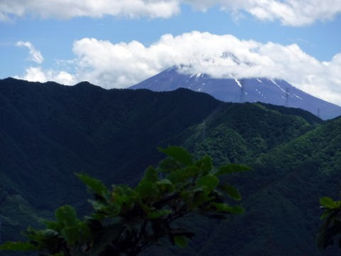2019.6.16　笹子雁ヶ腹山（尾根歩き）