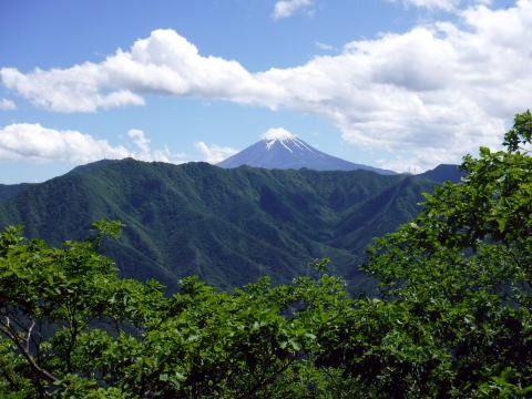 2019.6.16　笹子雁ヶ腹山（尾根歩き）