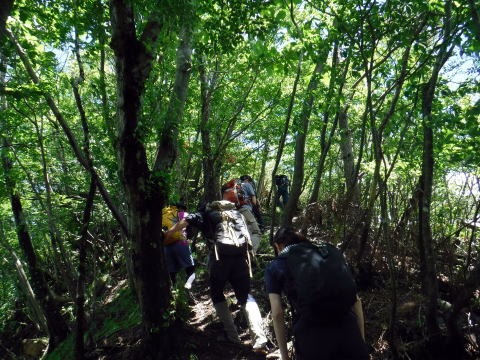 2019.6.16　笹子雁ヶ腹山（尾根歩き）