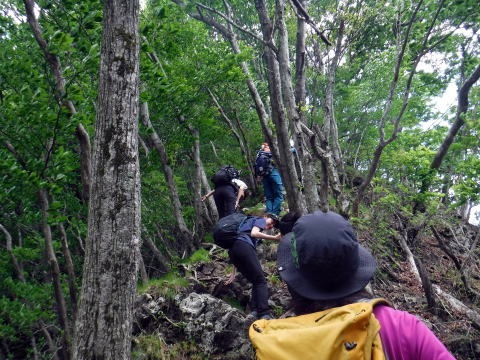 2019.6.16　笹子雁ヶ腹山（尾根歩き）