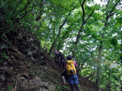 2019.6.16　笹子雁ヶ腹山（尾根歩き）