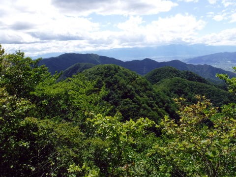 2019.6.16　笹子雁ヶ腹山（尾根歩き）