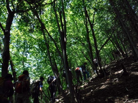 2019.6.16　笹子雁ヶ腹山（尾根歩き）