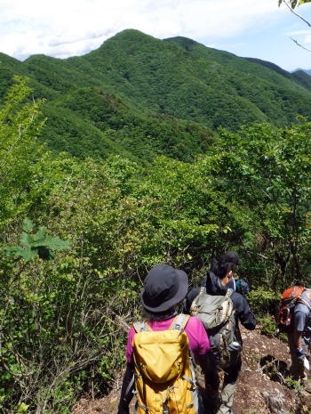2019.6.16　笹子雁ヶ腹山（尾根歩き）