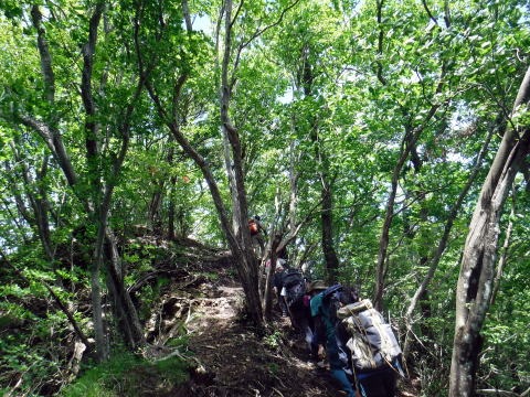 2019.6.16　笹子雁ヶ腹山（尾根歩き）