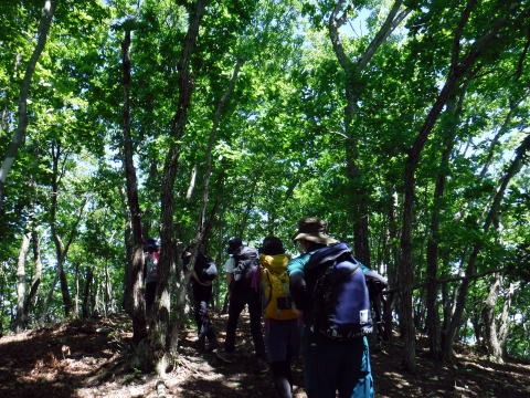 2019.6.16　笹子雁ヶ腹山（尾根歩き）
