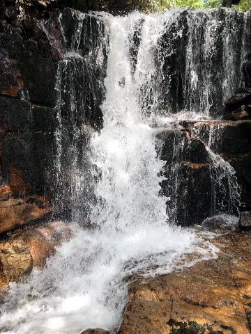 2019.8.31-9.1中ノ岐沢(沢登り)