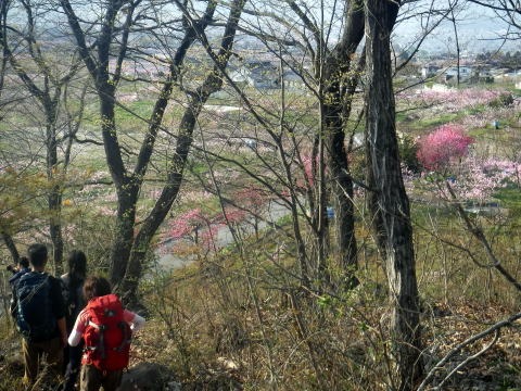 2023.4.1　ナットウ箱山（尾根歩き・イベント）