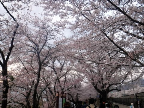 2023.4.1　ナットウ箱山（尾根歩き・イベント）