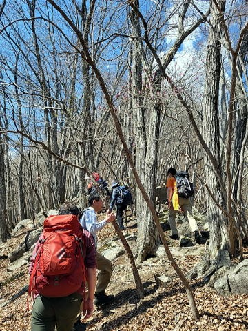 2023.4.1　ナットウ箱山（尾根歩き・イベント）
