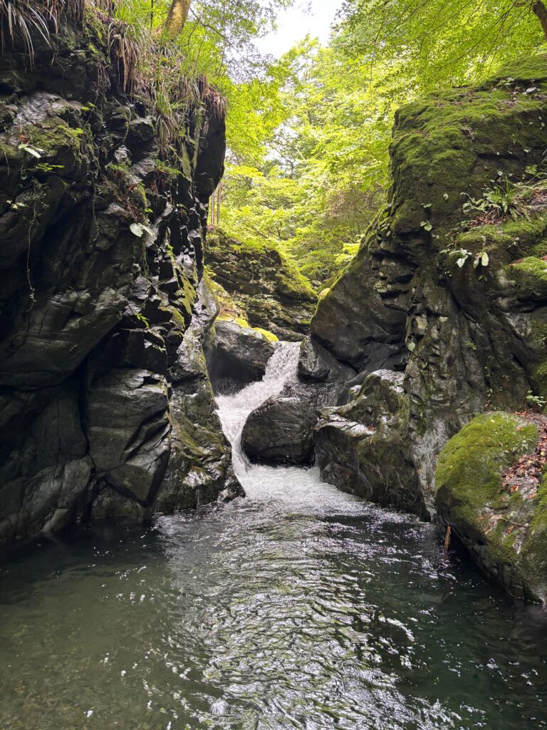 2026.7.26 倉沢谷本谷(奥多摩)(沢登り)