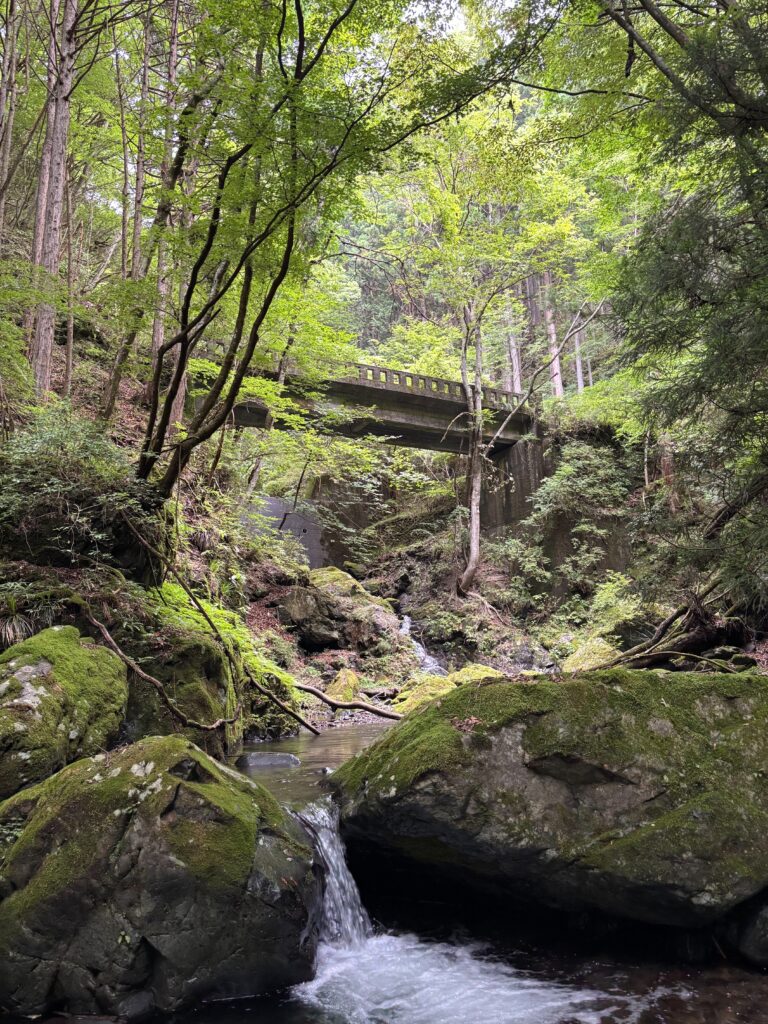 2026.7.26 倉沢谷本谷(奥多摩)(沢登り)
