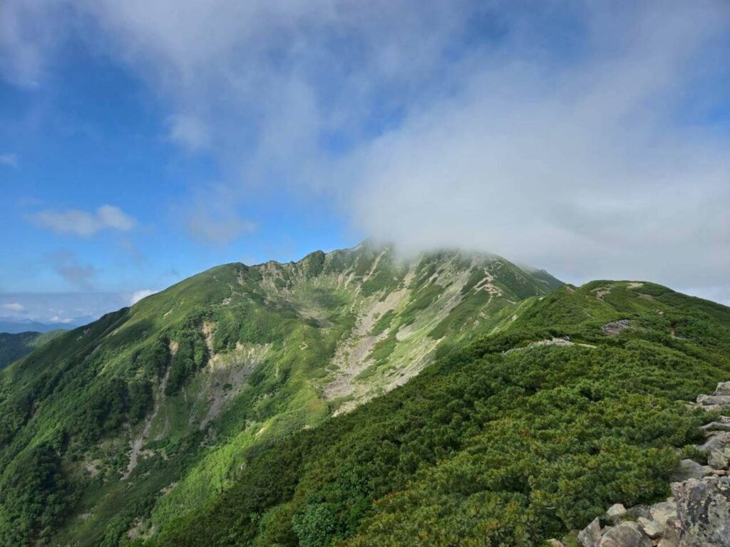 2026.7.19 仙丈ケ岳(尾根歩き)