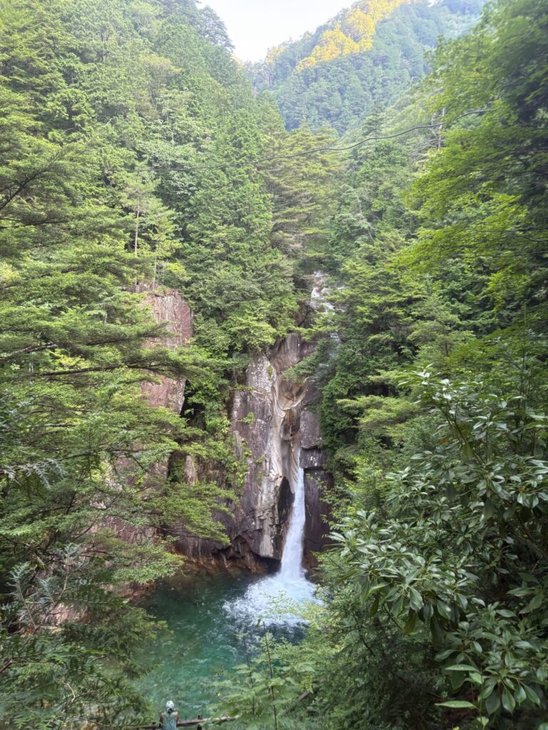 2026.8.2　柿其川本流