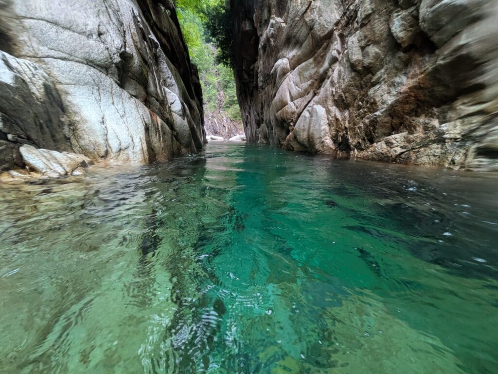 2026.8.2　柿其川本流