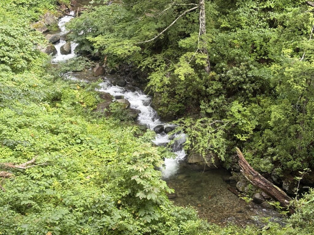2026.8.14-16 お盆の沢 清津川サゴイ沢(沢登り)