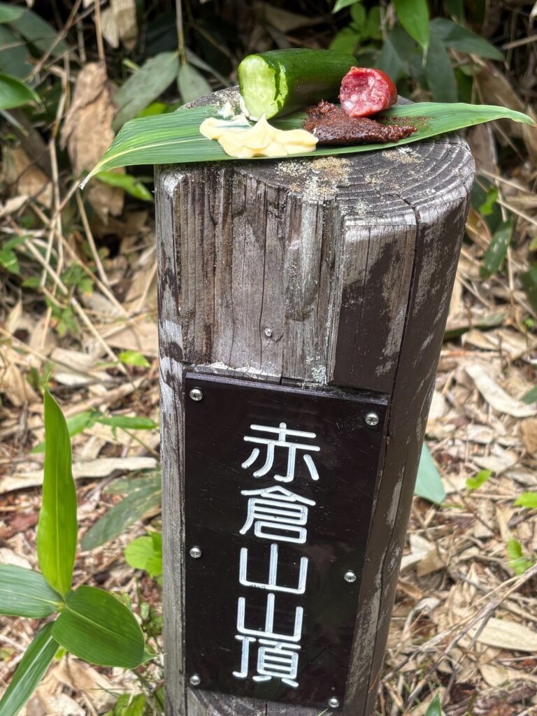 2026.8.14-16 お盆の沢 清津川サゴイ沢(沢登り)