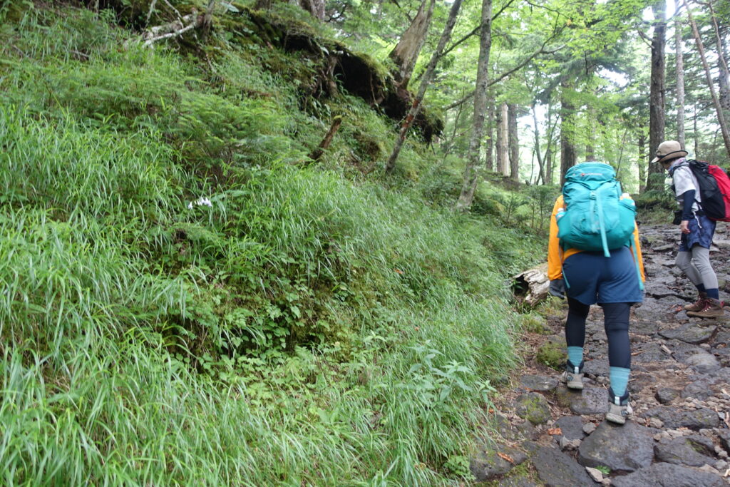 2026.08.02　富士山経ヶ岳（五合目佐藤小屋まで）（ハイキング）