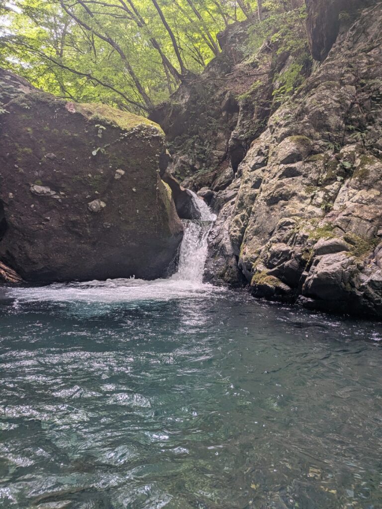 2026.8.5 庚申川本流（下部）（沢登り）