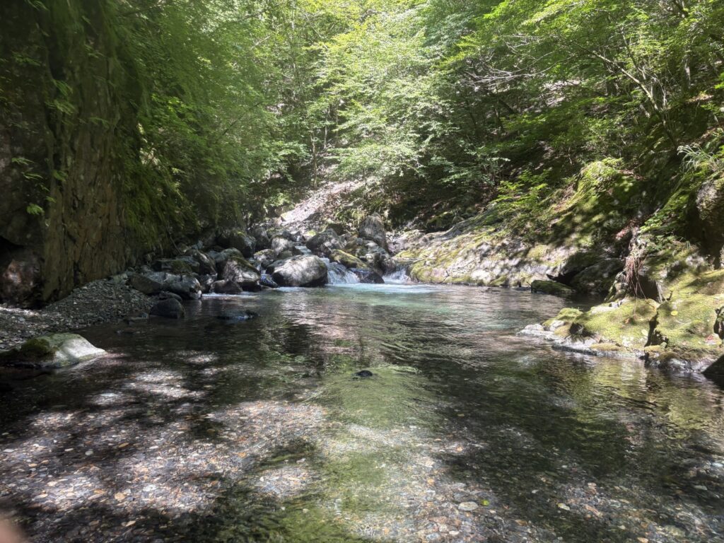 2026.8.5 庚申川本流（下部）（沢登り）