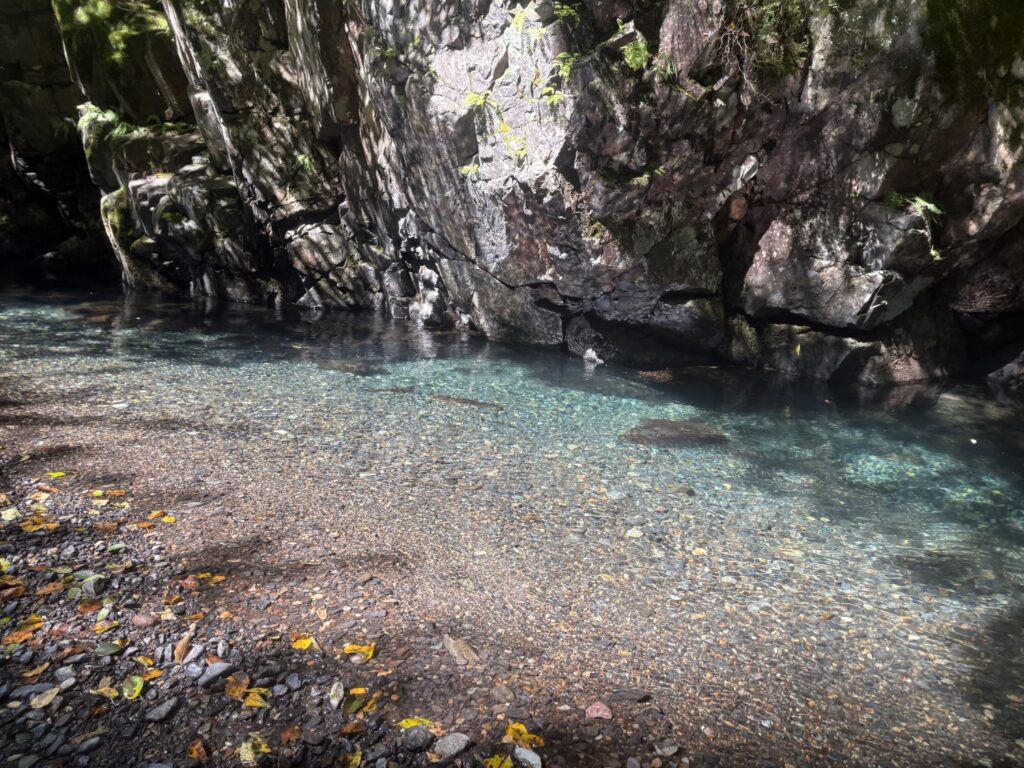 2026.8.5 庚申川本流（下部）（沢登り）