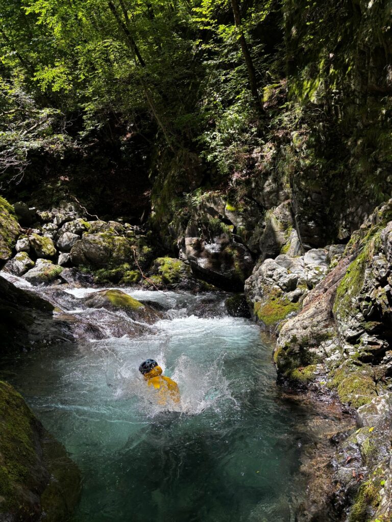 2026.8.5 庚申川本流（下部）（沢登り）