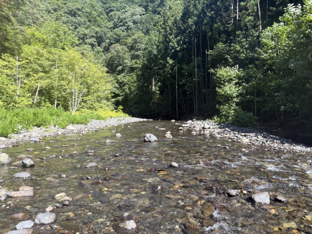 2026.8.5 庚申川本流（下部）（沢登り）