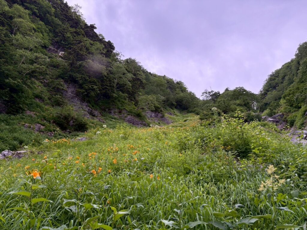 2026.7.11-13　北鎌尾根（バリエーション）