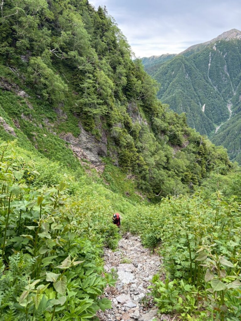 2026.7.11-13　北鎌尾根（バリエーション）