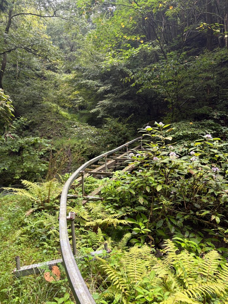 2026.8.23 真名井沢(沢登り)
